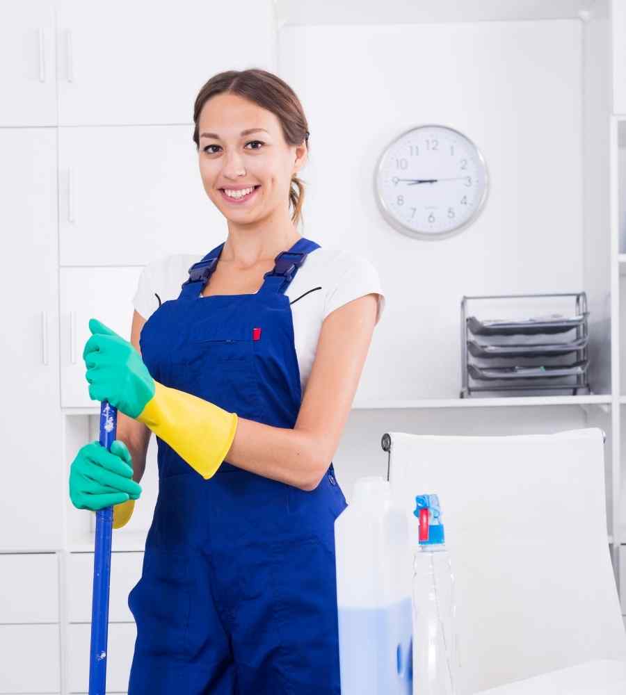 Standard Cleaning Services in Palmetto