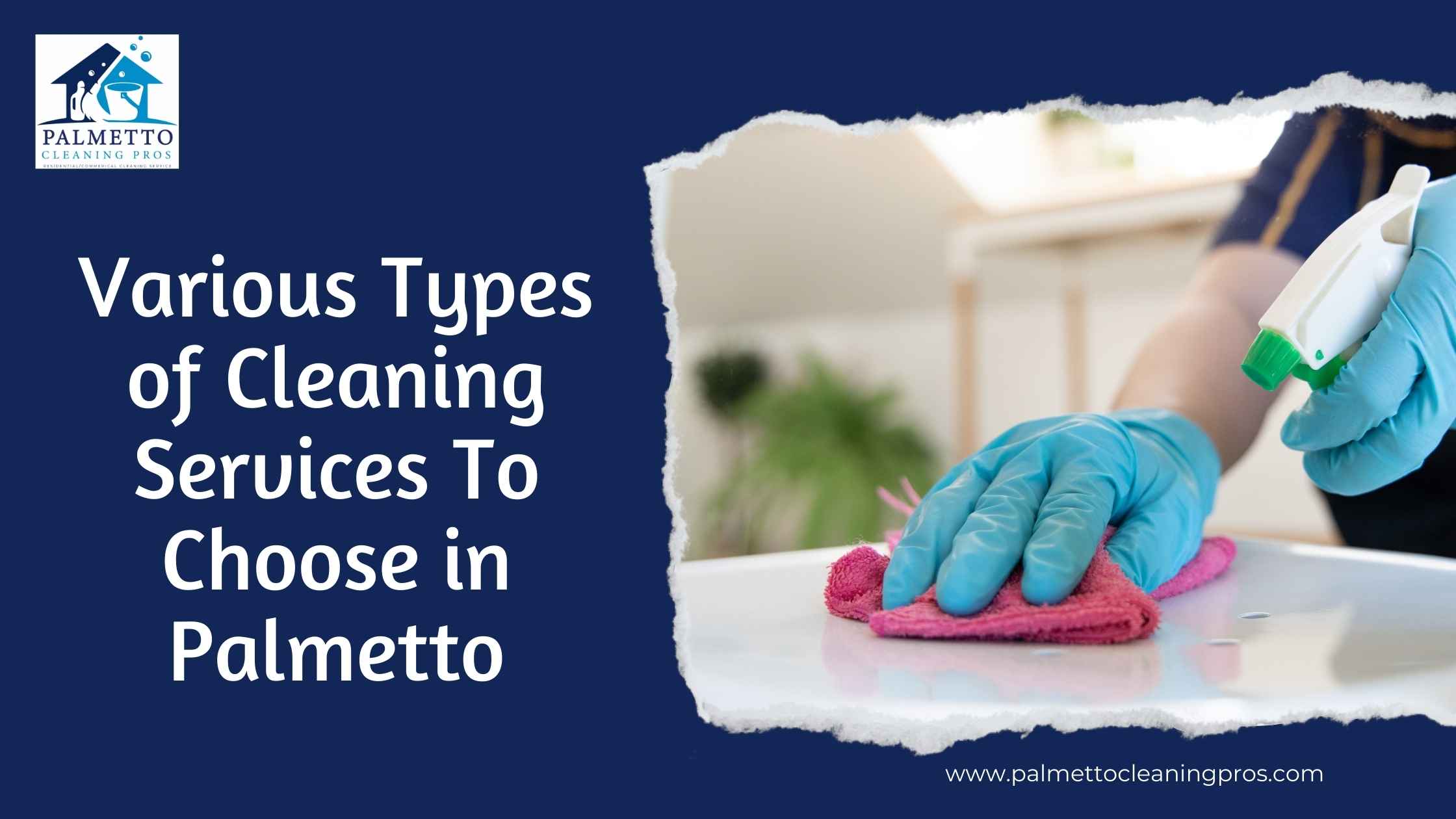 Various Types of Cleaning Services To Choose in Palmetto